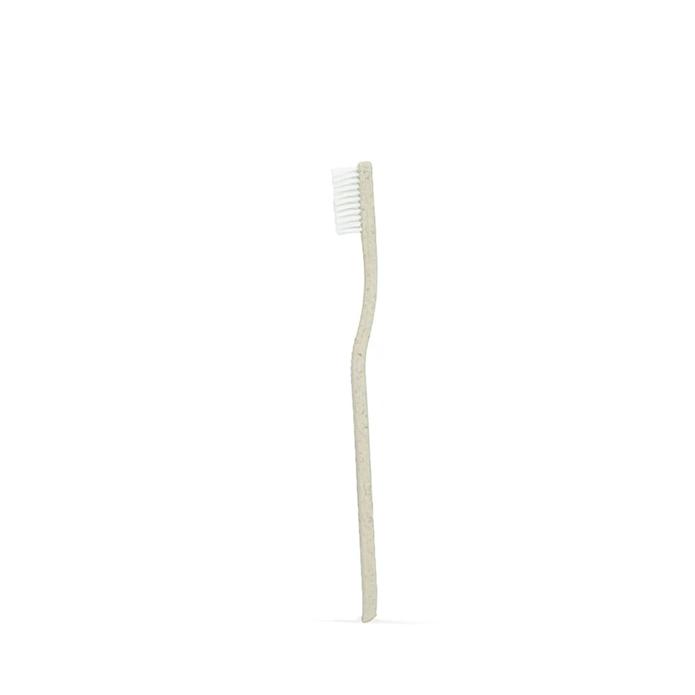 
                      
                        Wheat Straw Toothbrush
                      
                    